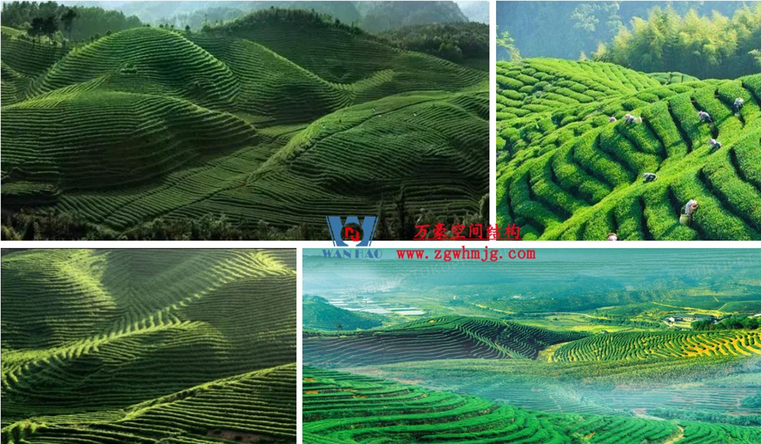 案例欣賞/復雜鋼膜結構建筑/杭州博多森谷ETFE氣枕連廊天幕項目 案例欣賞/復雜鋼膜結構建筑/杭州博多森谷ETFE氣枕連廊天幕項目